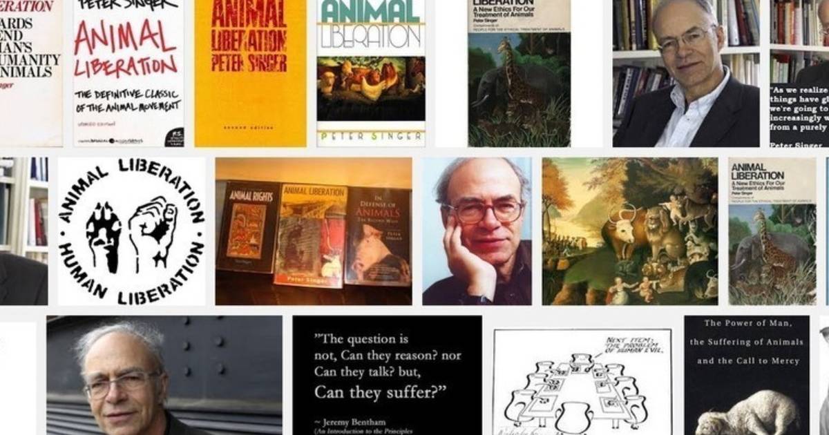 Peter Singer On The Animal Rights Revolution 4 Decades After He Started It  - The Dodo