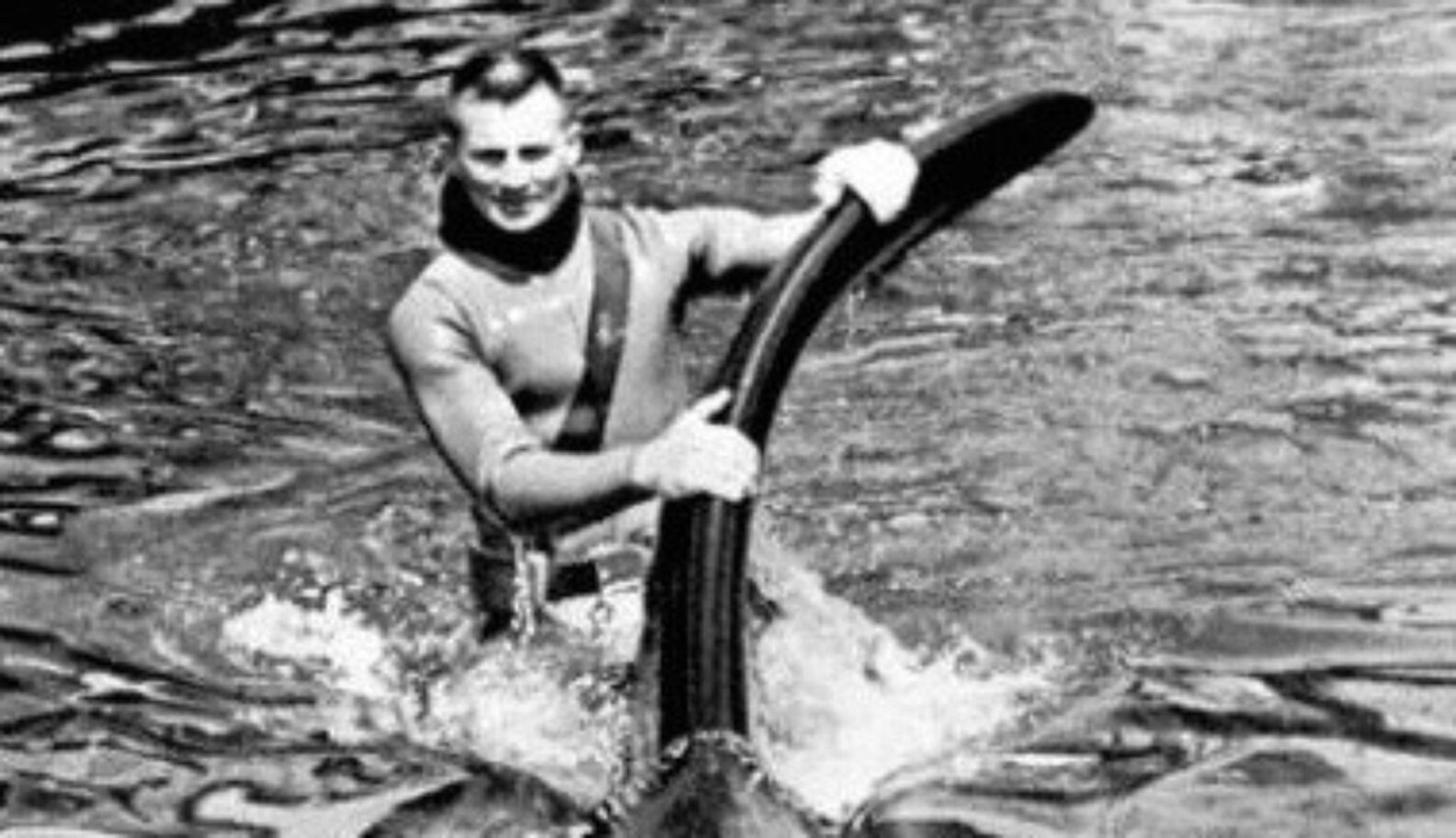 The Inspiration For SeaWorld Was A Crazy Guy With A Vision Of Riding An ...