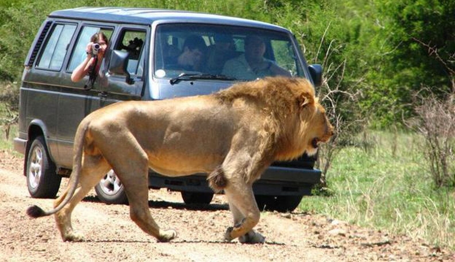 Photos Prove There's Only One Respectable Way To Shoot Animals The Dodo