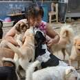 Woman Gives Up Everything To Save Hundreds Of Dogs From Street