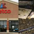 This Is Where Petco And PetSmart Get Their Animals