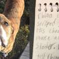 Dog Is Returned To Shelter With A Letter From The Girl Who Loves Him