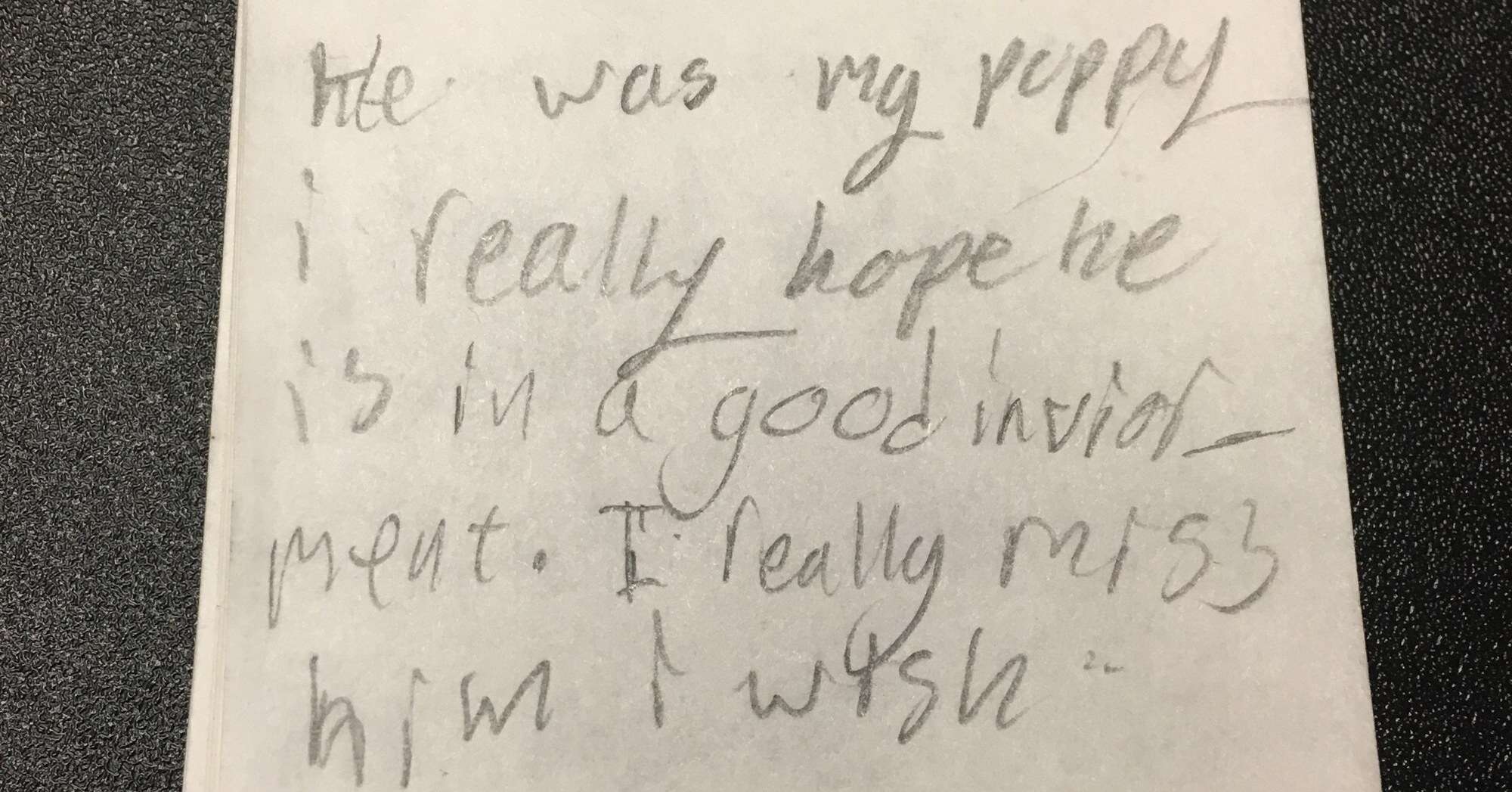 Letter from little girl about her dog, Rhino Lightning