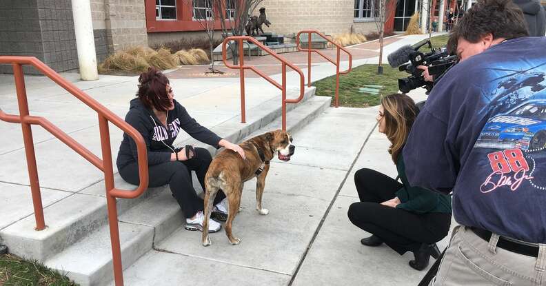 Dog Returned To Shelter With Letter From Little Girl - The Dodo