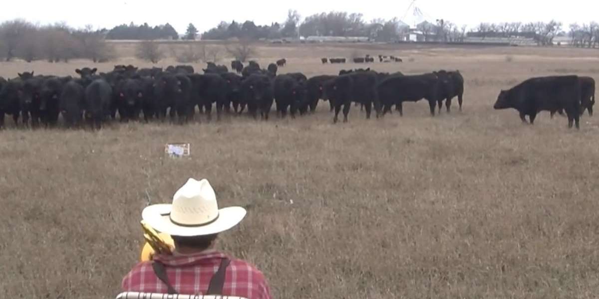 TrombonePlaying Farmer Serenades Cows With A Christmas Carol The Dodo