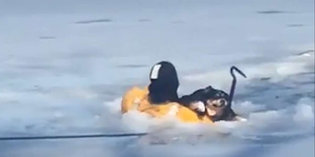 Firefighters Risk Their Lives To Save Dog From Frozen Lake - The Dodo