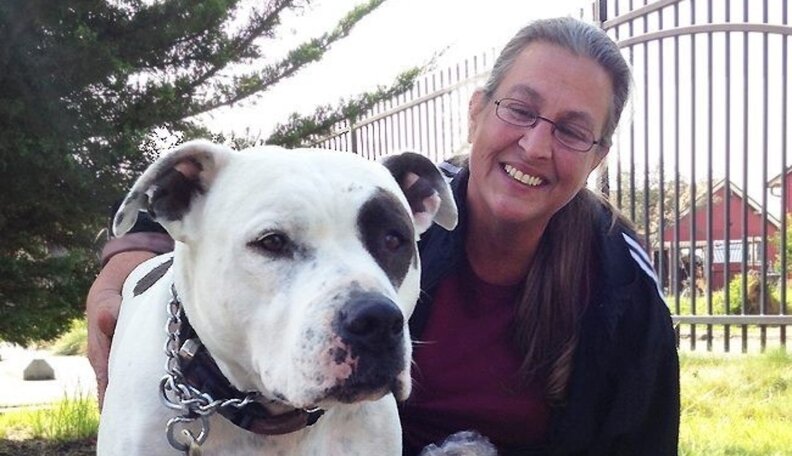 Homeless Family With Pit Bull Finds A New (Dog-Friendly) Home - The Dodo