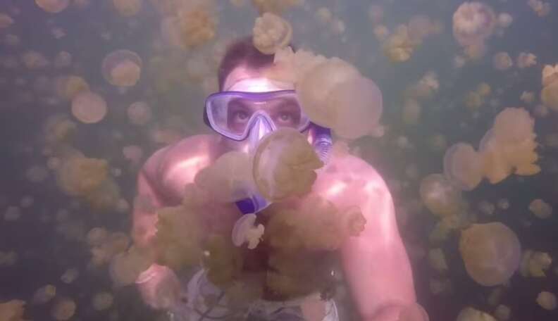 Otherworldly Video Captures Snorkeler Swimming Among Millions Of Little ...