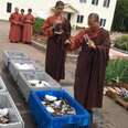 Monks Buy Hundreds Of Lobsters And Put Them Back In The Ocean