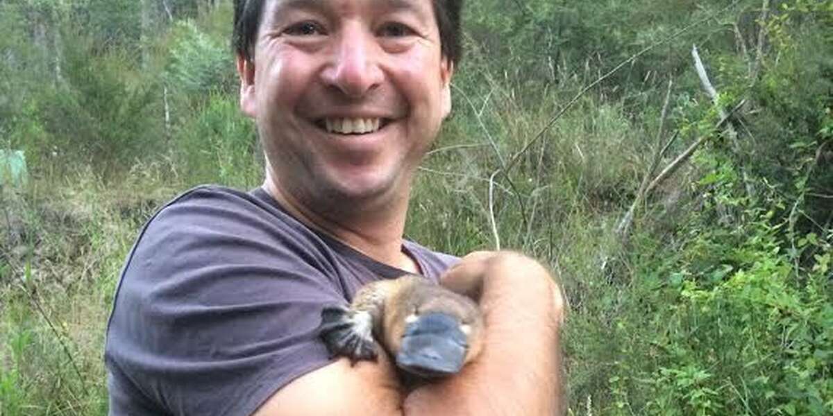 Man Finds Baby Platypus In Garbage Carries Her To Safety The Dodo