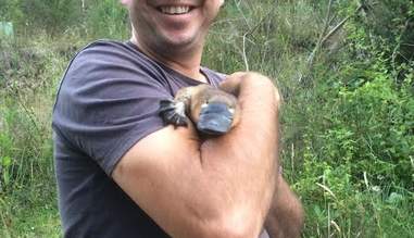 Man Finds Baby Platypus In Garbage Carries Her To Safety The Dodo