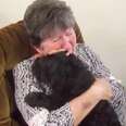 Missing Dog Returns And Brings Her Mom To Tears