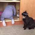 Cat Has A Brilliant Plan To Get Rid Of Baby