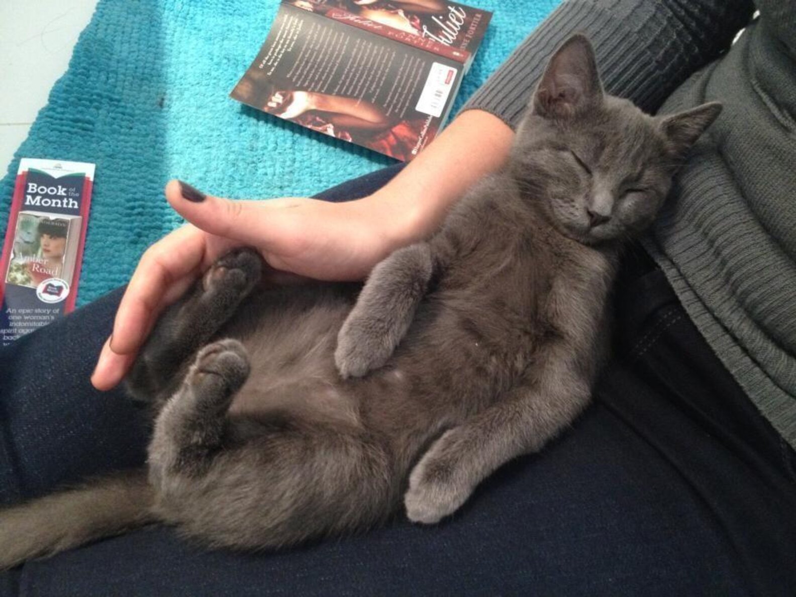 21 Foster Fails Who Wound Up Staying Forever - The Dodo