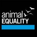 Photo of author Animal Equality