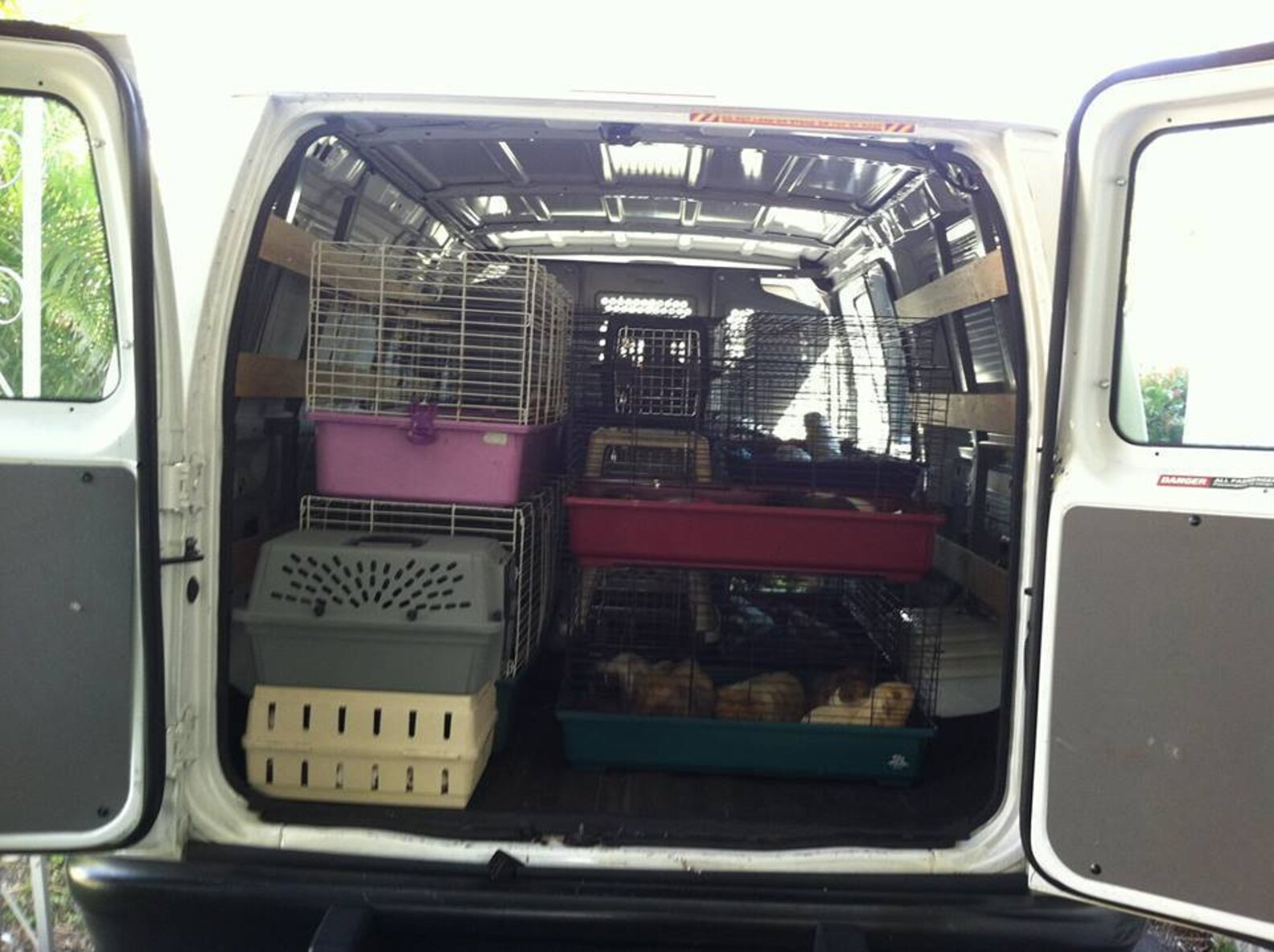 'Horrible' Hoarding Case Shows How Littlest Rescue Animals Slip Through