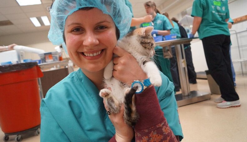 The Surprisingly Effective Best Way To Manage Cat Colonies - The Dodo
