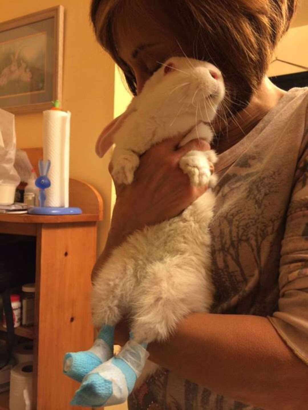 Baby Rabbits Rescued From Brutal Meat Farm Are Waiting For Forever ...