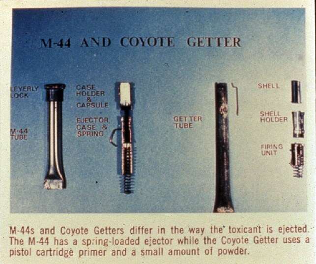 M-44 uses cyanide to kill animals