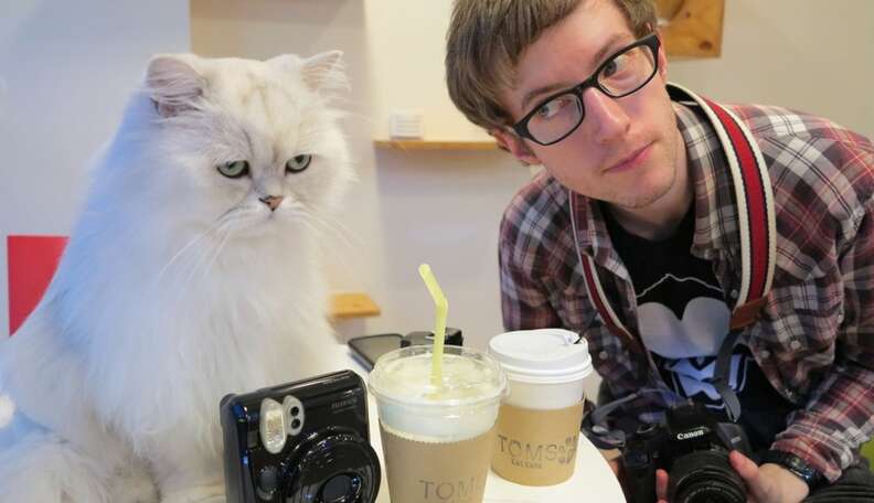 Visiting Tom's Cat Cafe in Seoul