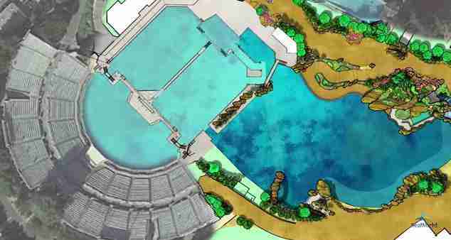 Seaworld Design/layout SeaWorld Wants Bigger Tanks — So It Can Get More Orcas - The Dodo