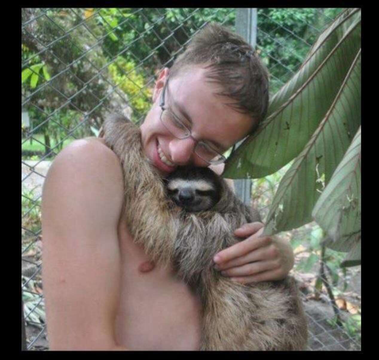 Why The World Has Fallen In Love With Sloths - The Dodo