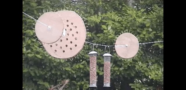 Man Creates Obstacle Course To Defend Bird Feeders From Ninja