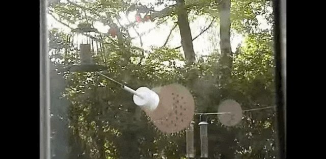 Man Creates Obstacle Course To Defend Bird Feeders From Ninja