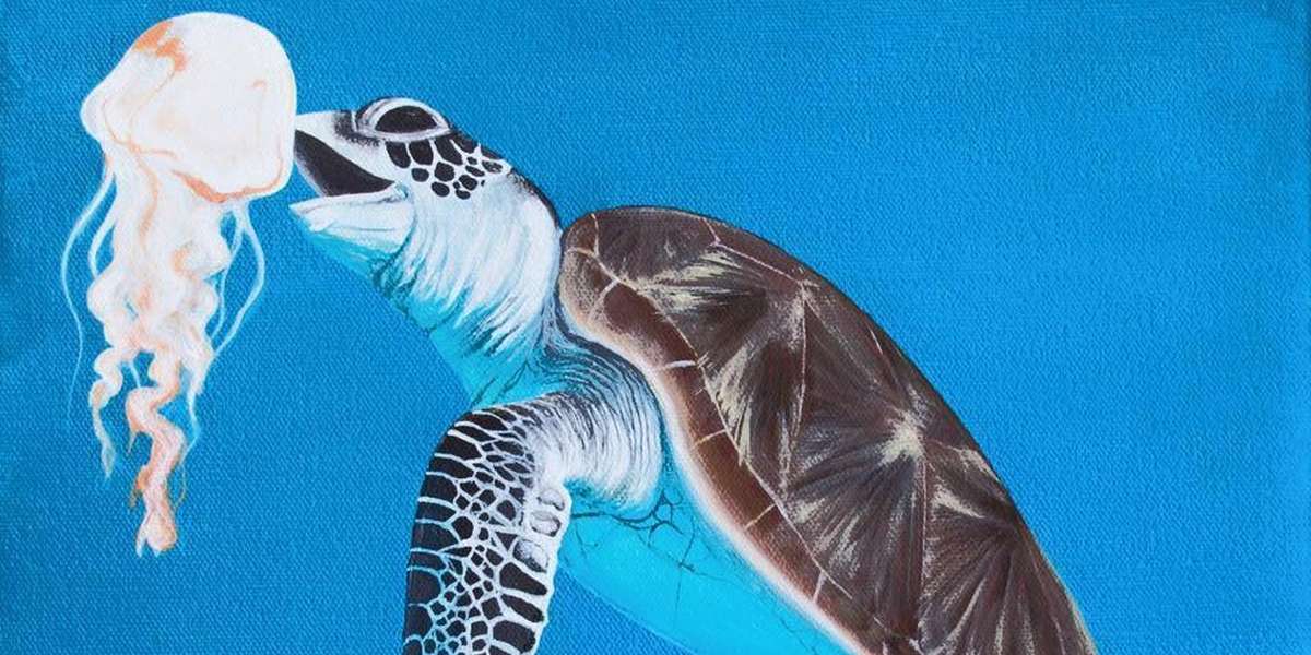Sea Turtles want you to ditch the Plastic Bags this