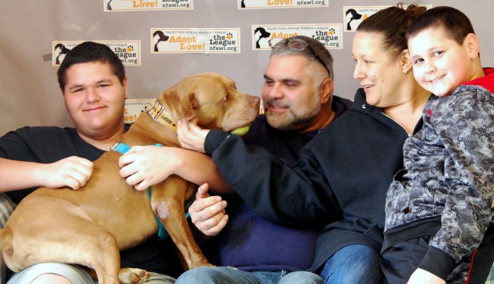 'Anybody Want Me?' Patient Pit Bull Has Been Waiting 5 Years For A ...