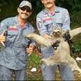 Sloth Is Clearly Having The Happiest Day Ever