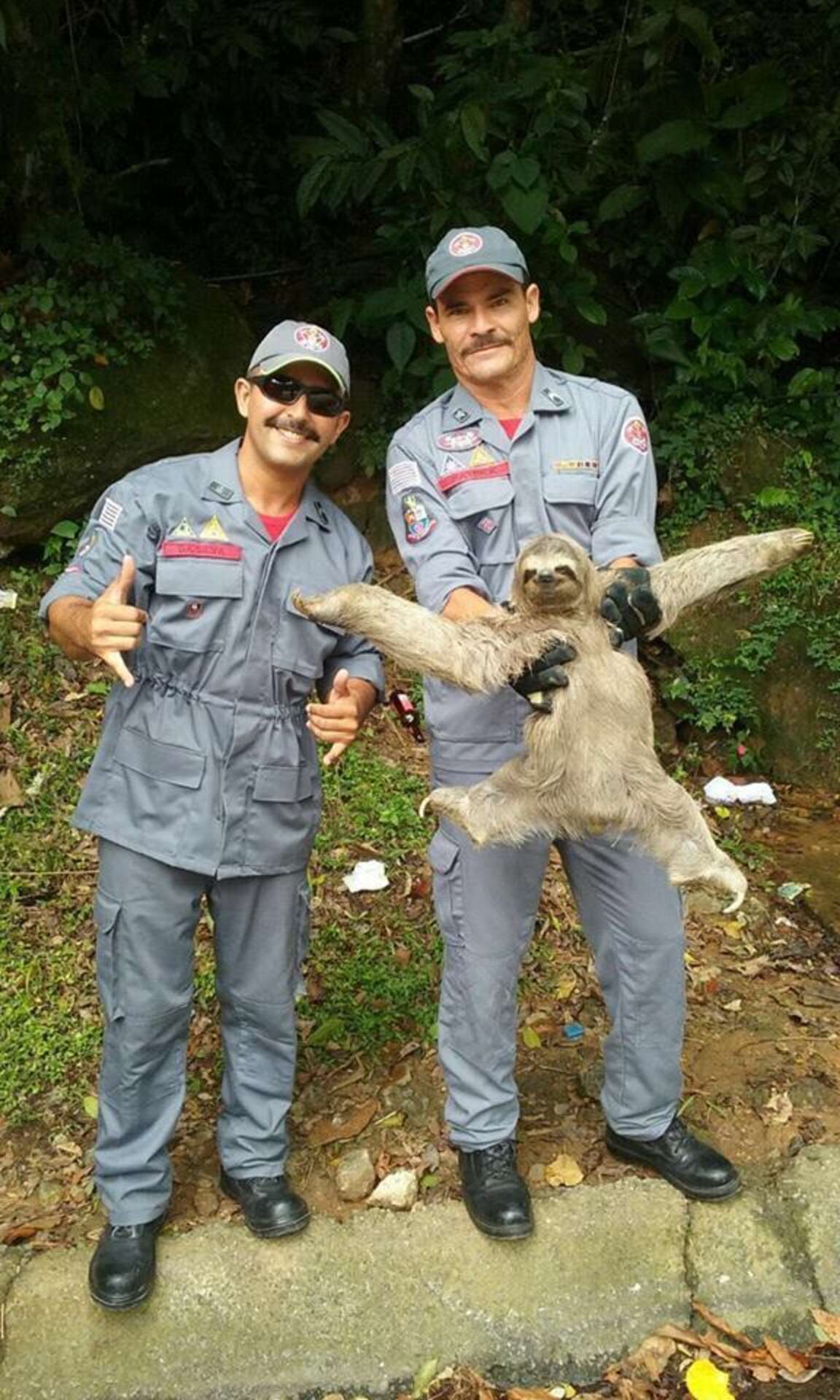 Firefighter Sloth Happy Sloth Strikes A Perfect Pose After Getting Rescued - The Dodo