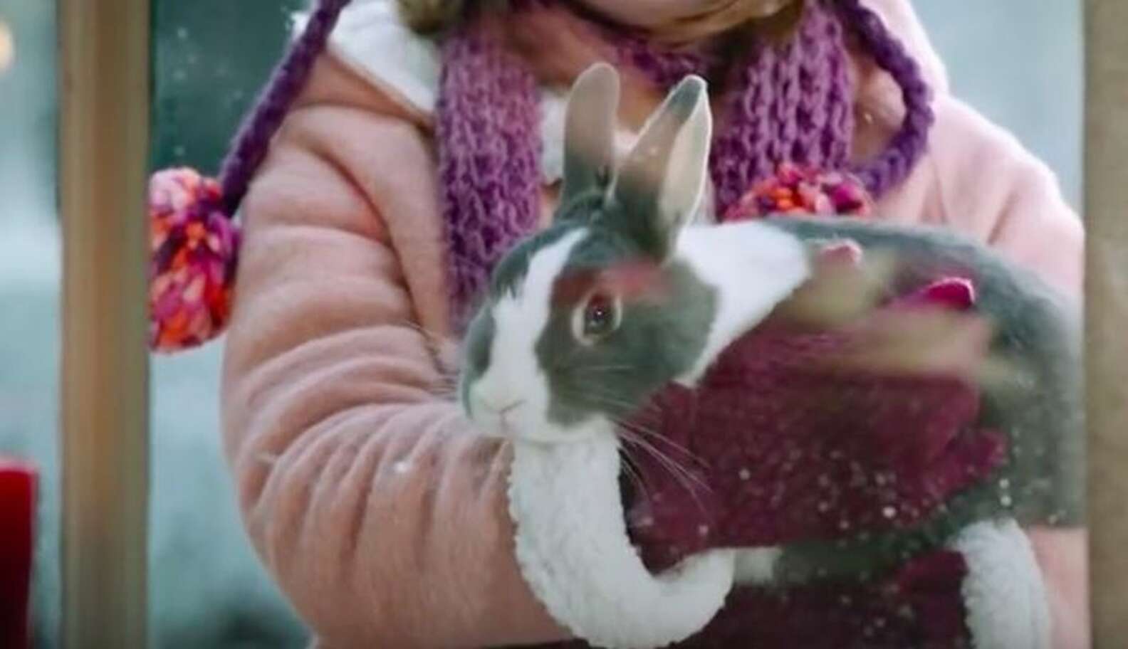 Cutest Ad Shows Why Everyone Needs A Home For The Holidays - The Dodo