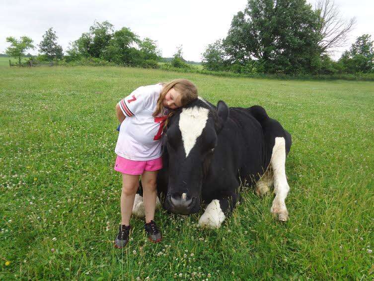 Rescued mini cow is living in paradise with her best friends – dogs!