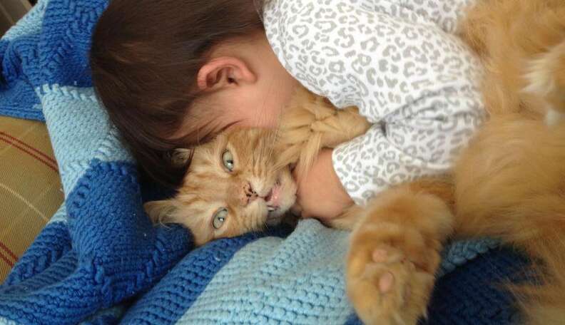 15 Cats Who Are NOT In Love With The Baby - The Dodo