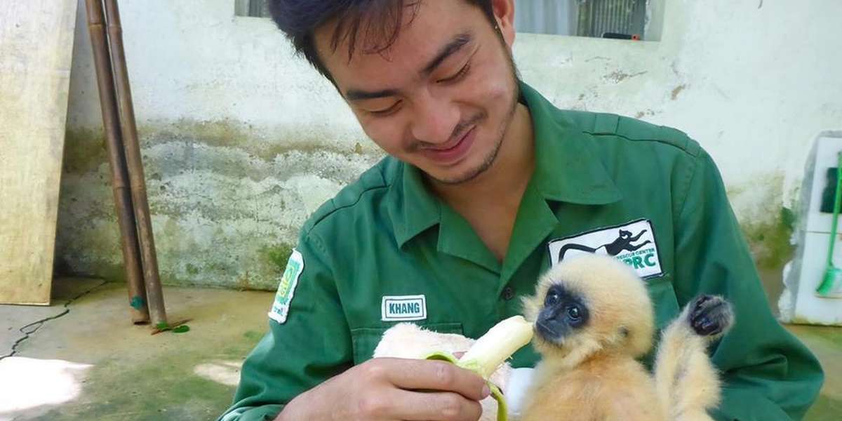 Baby Ape Who Lost Her Family Gets A Brand-New Dad - The Dodo