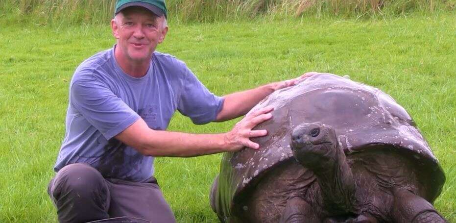 Tortoise Waited 184 YEARS For His First Bath - The Dodo