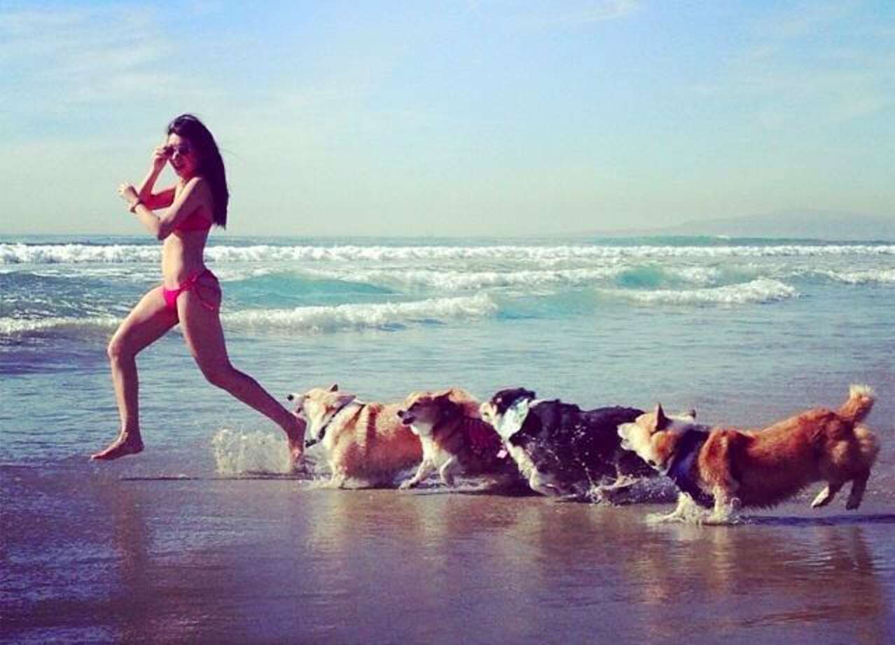 Фотосессия море собака девушка