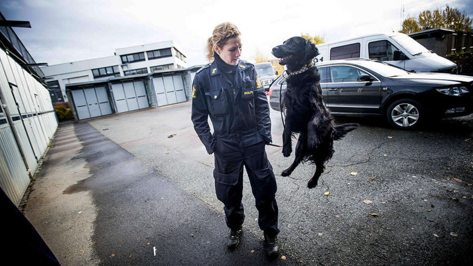 Perfectly Timed Photos Of Magically Levitating Dogs - The Dodo