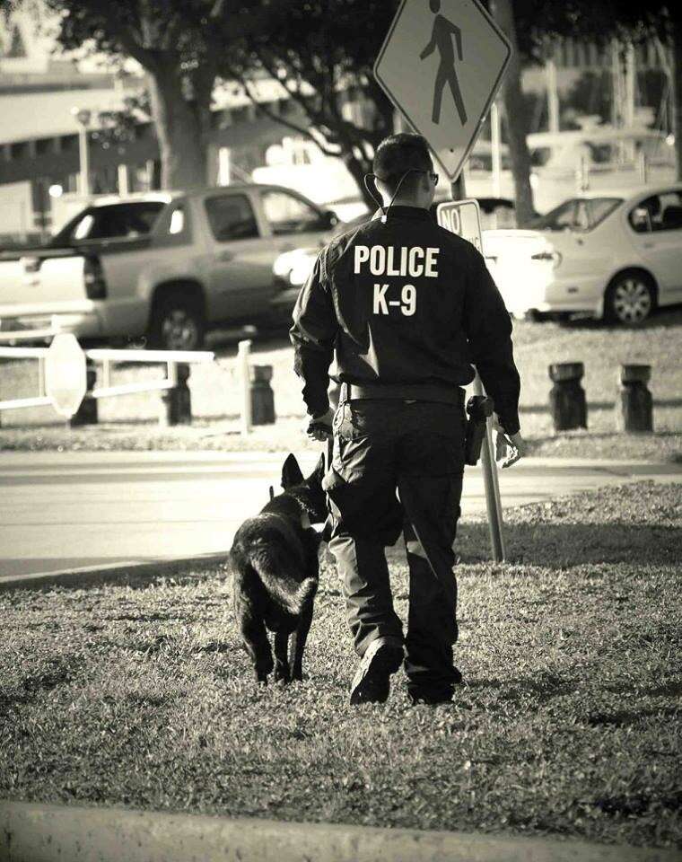 Cop Writes The Most Touching Letter To His K-9 Partner Who Died - The Dodo