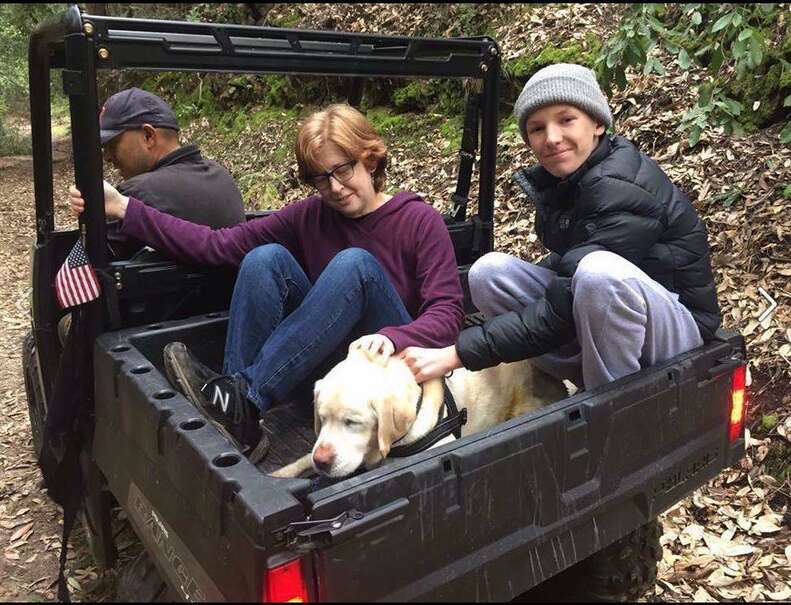 Missing blind yellow Labrador reunited with his family