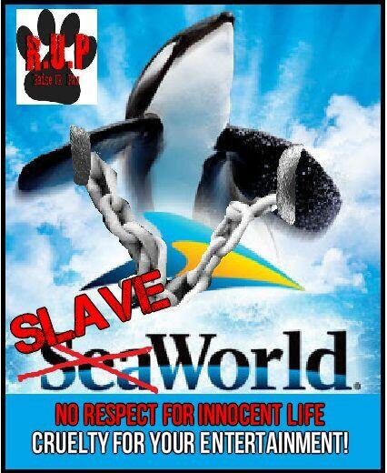 STOPANIMALABUS5Time 2#RAISEURPAW and help Shut Down #SLAVEWORLD - http ...