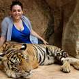 Tourist Mauled By Tiger Exposes Thailand's Horrific Wildlife Trafficking