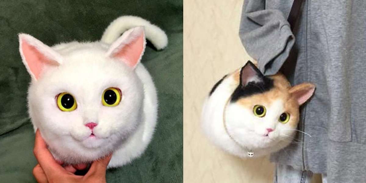 Злые котики милые. Котик халк. Оно в виде кота. Сумка в виде кошки реалистичная. Кот колдун.