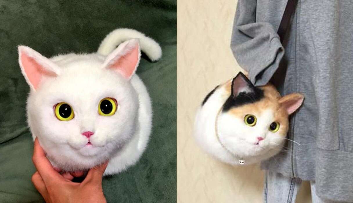 These Handbags Are Made To Look Exactly Like Cats - The Dodo
