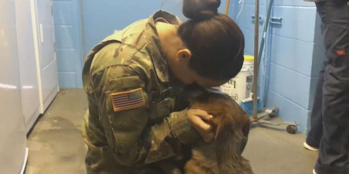 Soldier Reunites With Dog She Thought She'd Never See Again - The Dodo