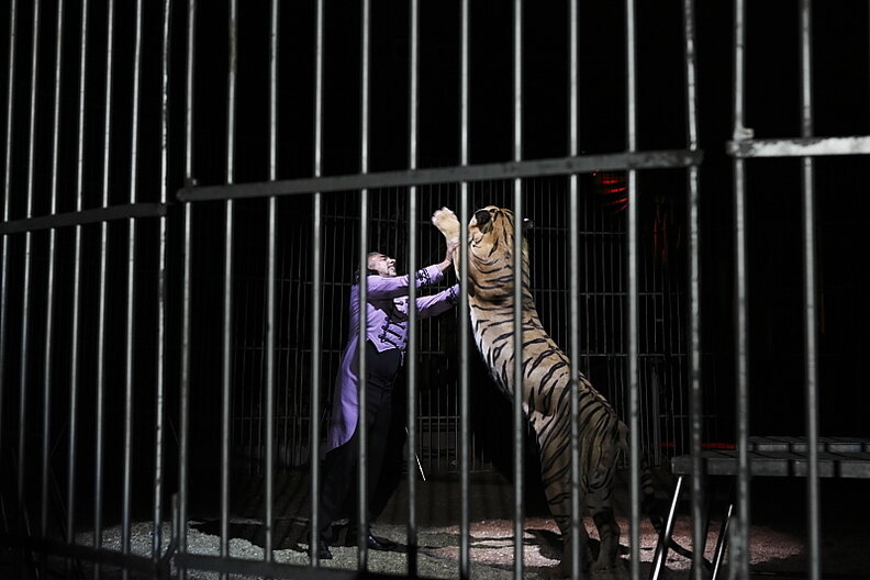 'Unconscionable Cruelty' Against America's Circus Animals Could Come To ...