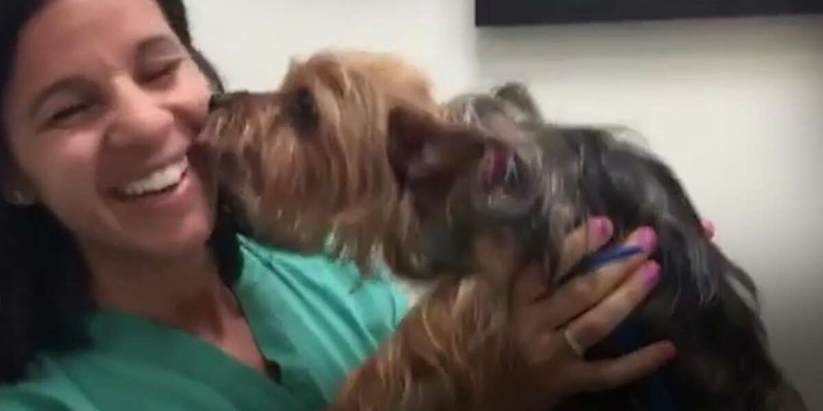 Crying Dog And Rabbit Rescued From Basement - The Dodo