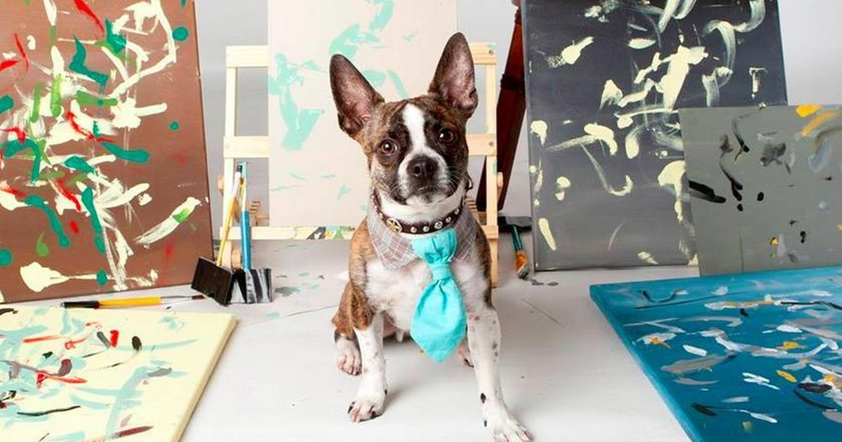 Talented Rescue Dog Creates Abstract Art With His Very Own Paintbrush