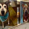 5,500 Portraits To Save Shelter Dogs